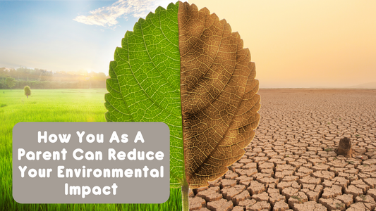 How You As A Parent Can Reduce Your Environmental Impact